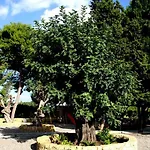 Chiusa Di Carlo